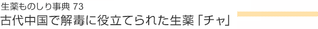 生薬ものしり事典73 古代中国で解毒に役立てられた生薬「チャ」
