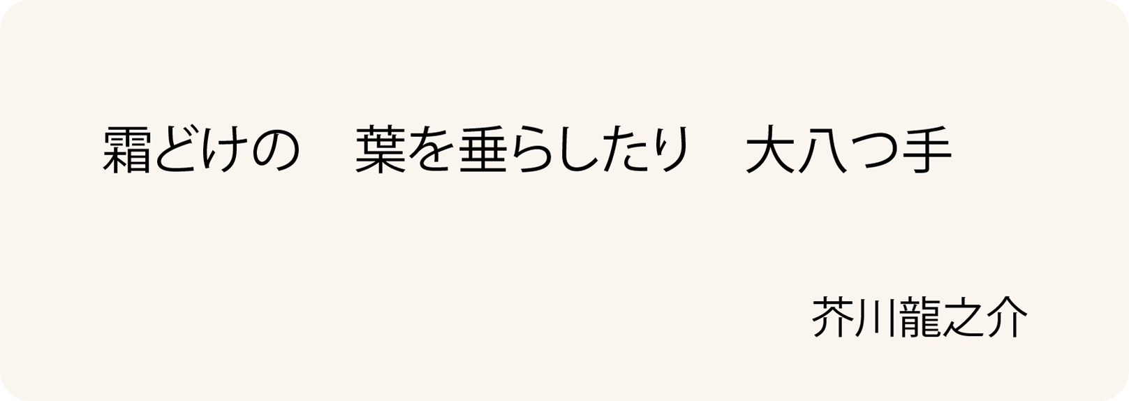 天狗の葉団扇とも呼ばれる「ヤツデ」｜生薬ものしり事典111
