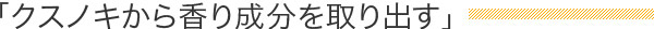 クスノキから香り成分を取り出す