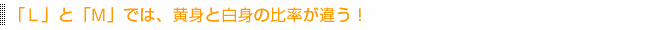 「Ｌ」と「Ｍ」では、黄身と白身の比率が違う！