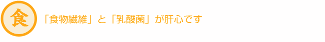 「食物繊維」と「乳酸菌」が肝心です