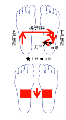 快腸 生活 はじめる 特集記事 元気通信 養命酒製造株式会社