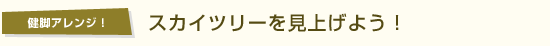 【健脚アレンジ！】スカイツリーを見上げよう！