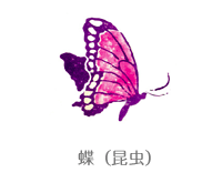 蝶（昆虫）