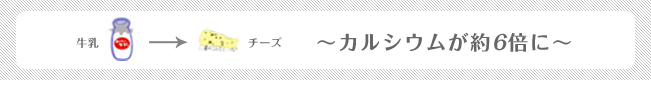 牛乳⇒チーズ 〜カルシウムが約6倍に〜