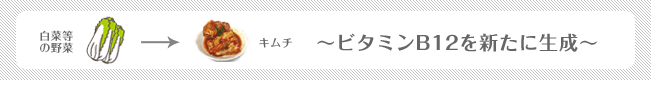 白菜等の野菜⇒キムチ 〜ビタミンB12を新たに生成〜