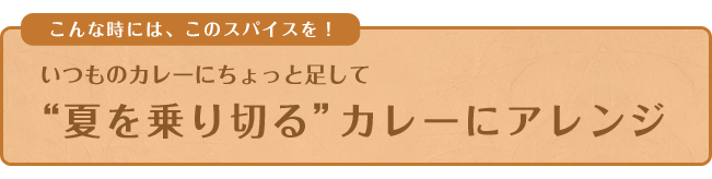 こんな時には、このスパイスを！いつものカレーにちょっと足して“夏を乗り切る”カレーにアレンジ