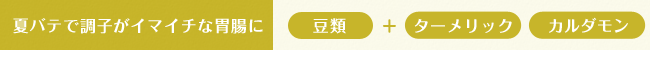 夏バテで調子がイマイチな胃腸に「ターメリック」「カルダモン」