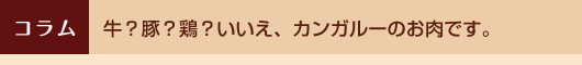 牛？豚？鶏？いいえ、カンガルーのお肉です。