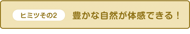 【ヒミツその2】豊かな自然が体感できる！