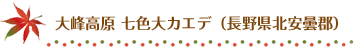 大峰高原 七色大カエデ（長野県北安曇郡）