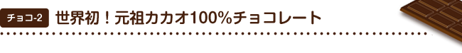 チョコ2 世界初！元祖カカオ100％チョコレート