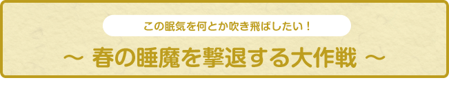 この眠気を何とか吹き飛ばしたい！～春の睡魔を撃退する大作戦～