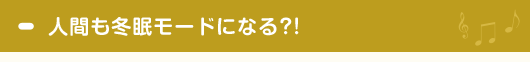 人間も冬眠モードになる?!