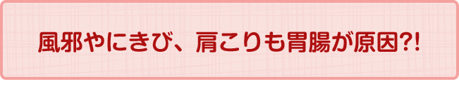 風邪やにきび、肩こりも胃腸が原因?!