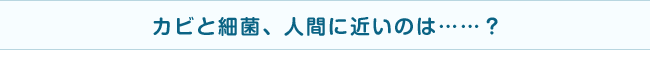 カビと細菌、人間に近いのは……？