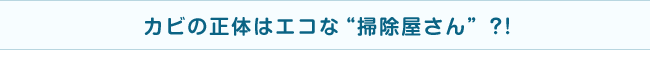 カビの正体はエコな“掃除屋さん”?!