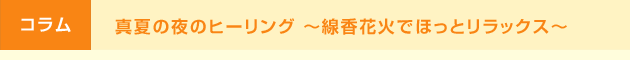 真夏の夜のヒーリング 〜線香花火でほっとリラックス〜