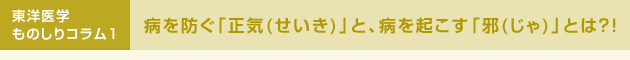 東洋医学ものしりコラム1 病を防ぐ「正気(せいき)」と、病を起こす「邪(じゃ)」とは?!