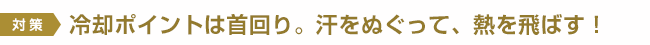 対策→　冷却ポイントは首回り。汗をぬぐって、熱を飛ばす！