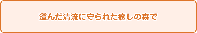 澄んだ清流に守られた癒しの森で