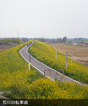 荒川自転車道