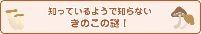 知っているようで知らない きのこの謎！