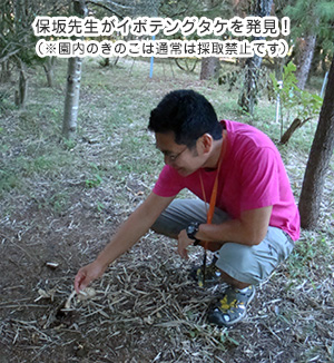保坂先生がイボテングタケを発見!(※園内のきのこは通常は採取禁止です)