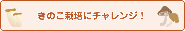 きのこ栽培にチャレンジ！