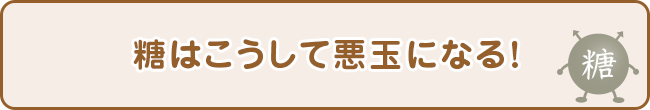 糖はこうして悪玉になる！