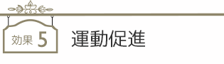 効果５　運動促進