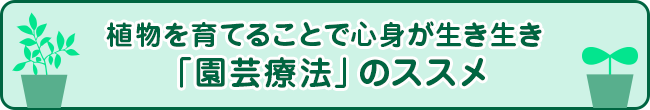 植物を育てることで心身が生き生き「園芸療法」のススメ