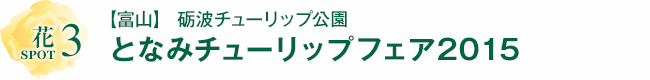 花SPOT３ 【富山】砺波チューリップ公園「となみチューリップフェア2015」