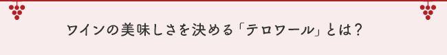 ワインの美味しさを決める「テロワール」とは？