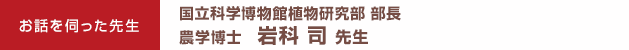 お話を伺った先生：国立科学博物館植物研究部 部長　農学博士　岩科 司　先生