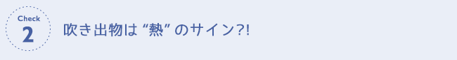 チェック２　吹き出物は“熱”のサイン?!