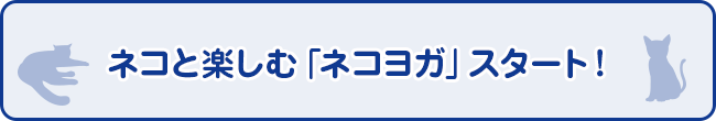 ネコと楽しむ「ネコヨガ」スタート！