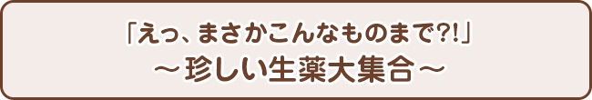 「えっ、まさかこんなものまで?!」〜珍しい生薬大集合〜