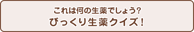 これは何の生薬でしょう？　びっくり生薬クイズ！