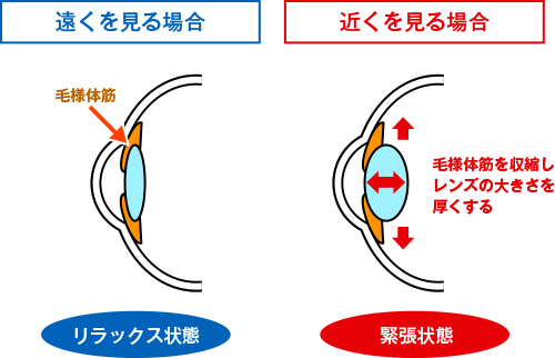 疲れ目もドライアイも即撃退 超簡単 眼トレ メソッド７選 元気通信 養命酒製造株式会社