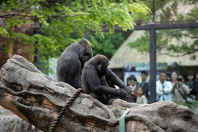 上野動物園