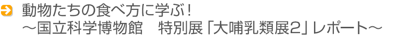 動物たちの食べ方に学ぶ！〜国立科学博物館　特別展「大哺乳類展2」レポート〜