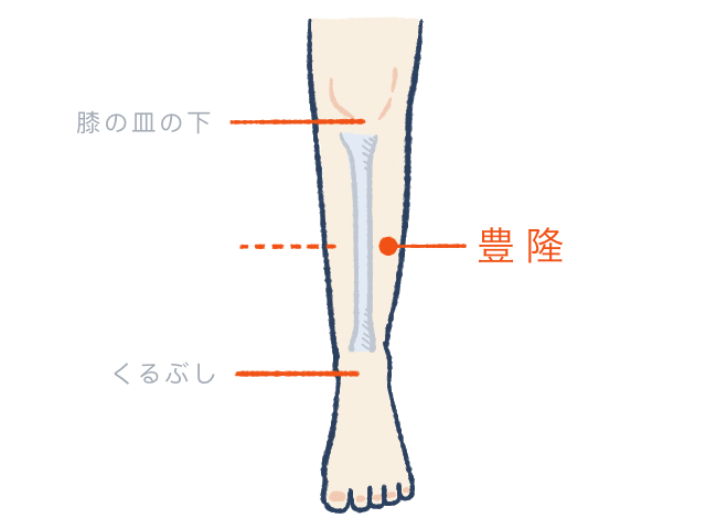 ひざ下のイラストに「豊隆」のツボ