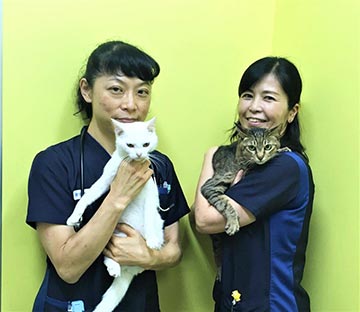 吉田先生&廣瀬先生