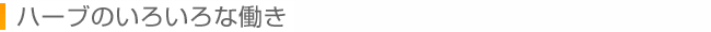 ハーブのいろいろな働き