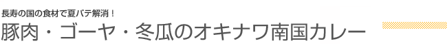 長寿の国の食材で夏バテ解消！  豚肉・ゴーヤ・冬瓜のオキナワ南国カレー