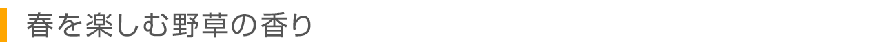 春を楽しむ野草の香り