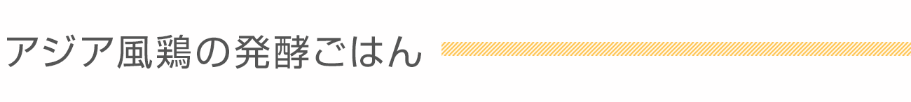 アジア風鶏の発酵ごはん