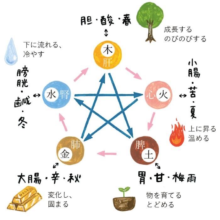 五行と五臓、五味、季節の対応図