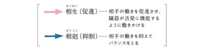 相生と相剋の説明